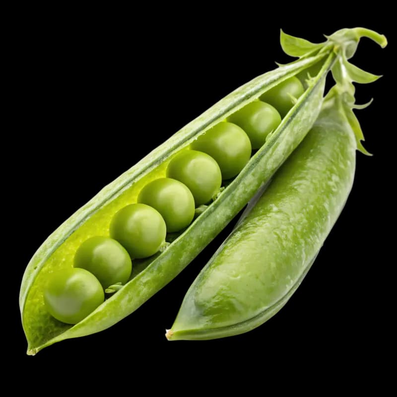 Grašak
