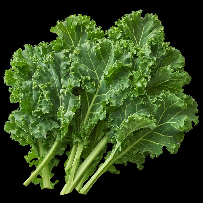 Kelj