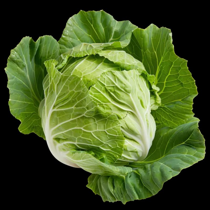 Beli kupus