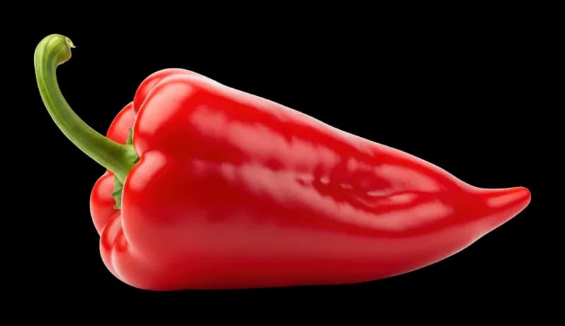Crvena paprika