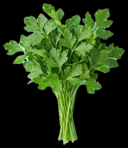Peršun