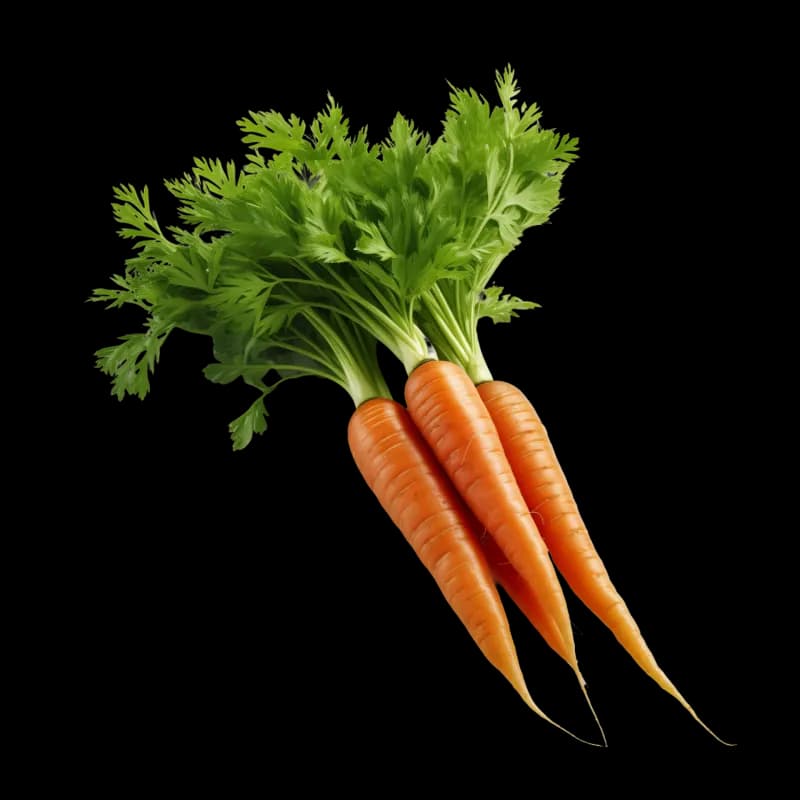 Mlada šargarepa