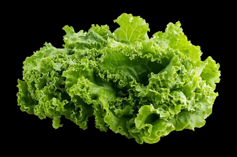 Zelena salata