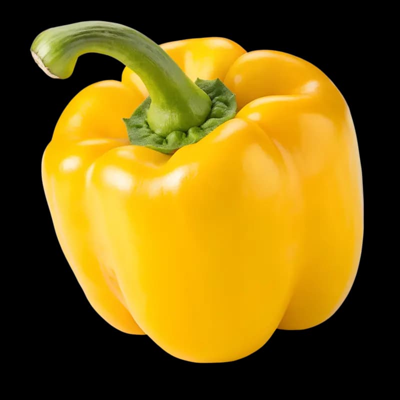 Žuta paprika