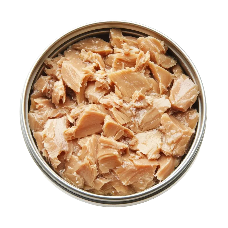 Tuna iz konzerve