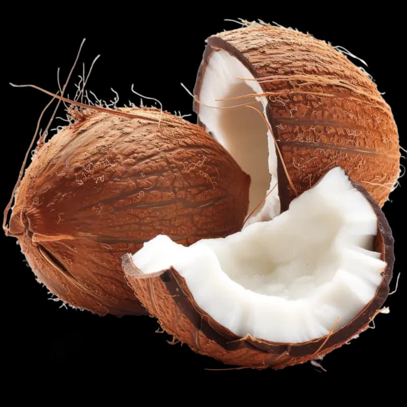 Kokos